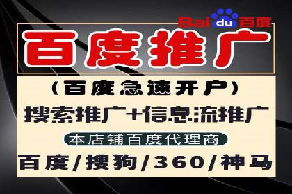 搜索引擎营销（SEM）在移动端的推广案例